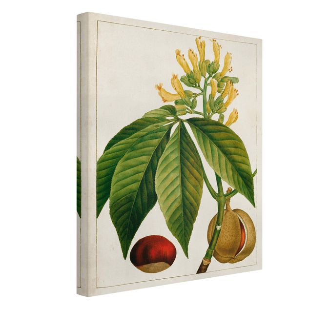 Modern art prints Tableau Leaf Flower Fruit VI