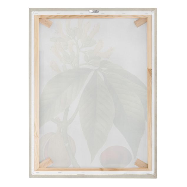 Canvas prints Tableau Leaf Flower Fruit VI