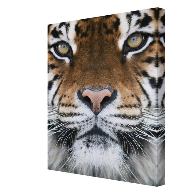 Prints modern Tiger Eyes