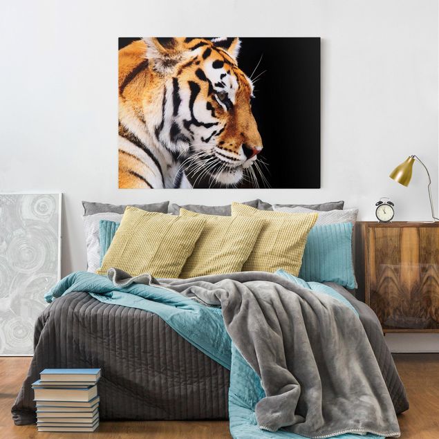 Tiger canvas Tiger Beauty