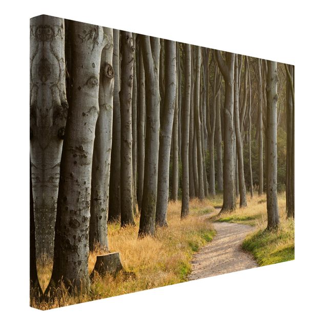 Modern art prints Forest Road In Northern Germany