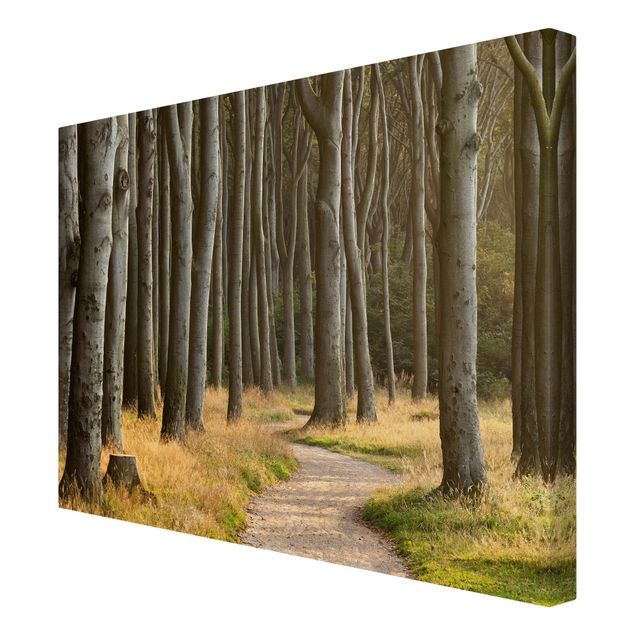 Nature wall art Forest Road In Northern Germany