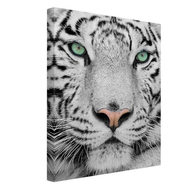 Cat canvas art White Tiger