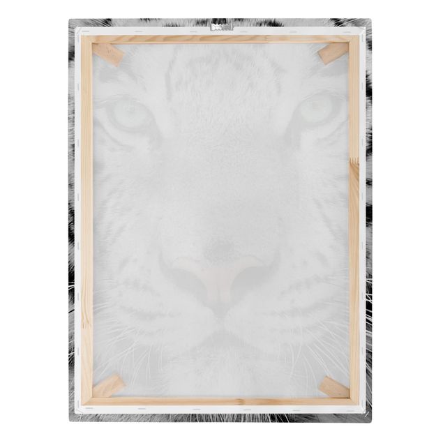 Contemporary art prints White Tiger