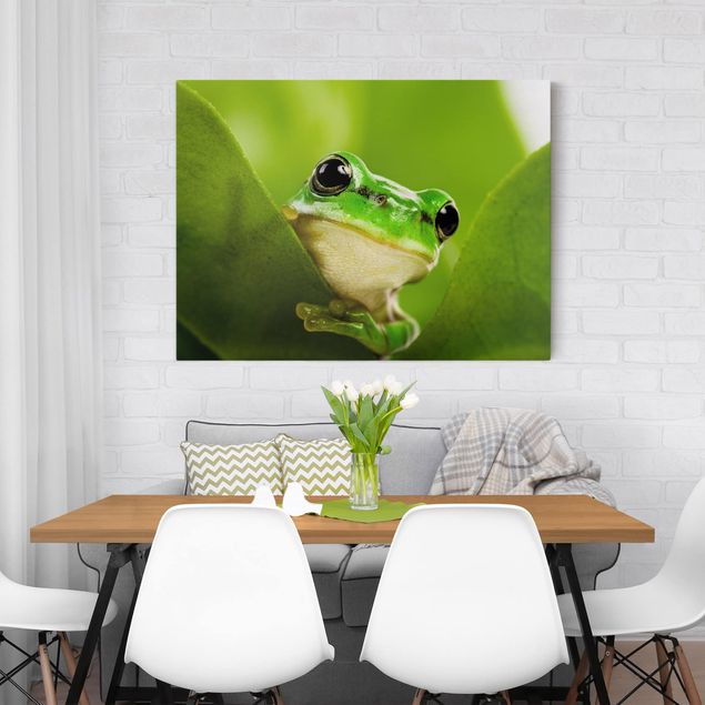 Animal wall art Frog
