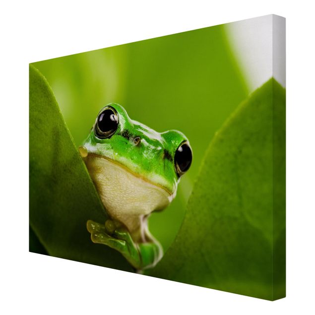 Prints Frog