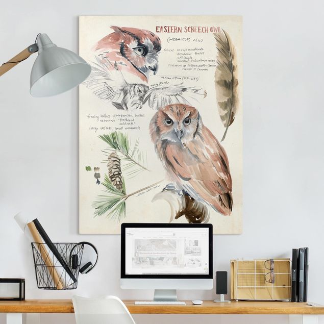 Animal canvas Wilderness Journal - Owl