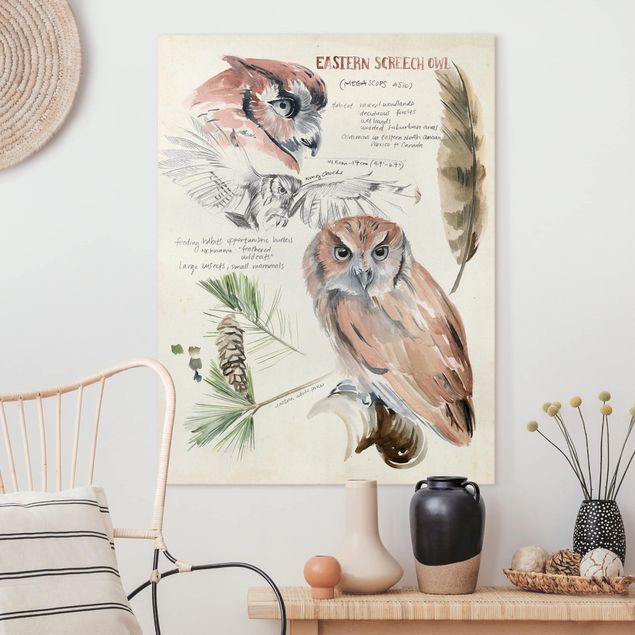 Kitchen Wilderness Journal - Owl