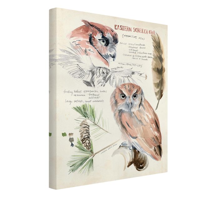 Floral canvas Wilderness Journal - Owl
