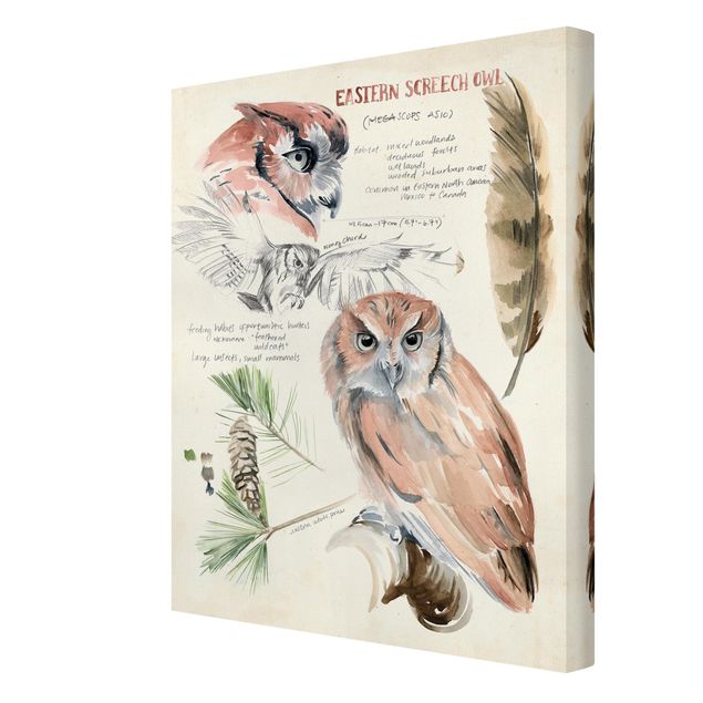 Prints Wilderness Journal - Owl