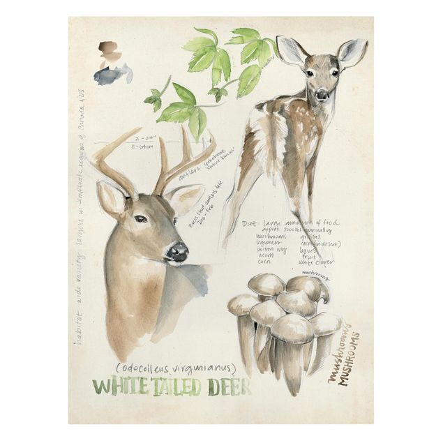 Flower print Wilderness Journal - Deer