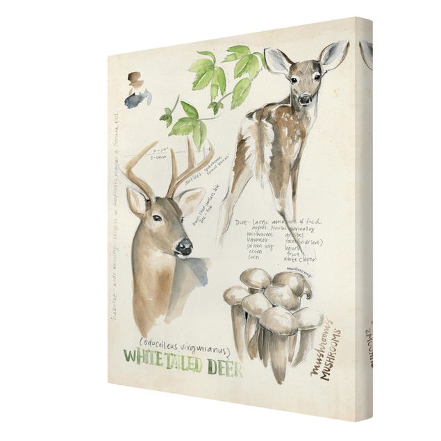 Prints brown Wilderness Journal - Deer
