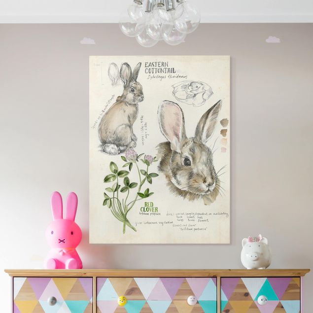 Kitchen Wilderness Journal - Rabbit