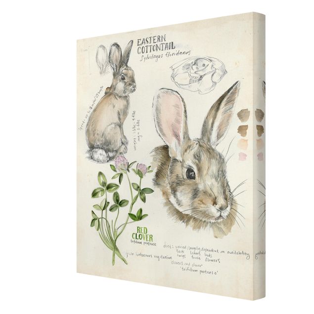 Prints Wilderness Journal - Rabbit