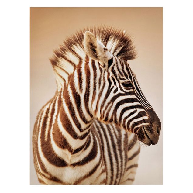 Animal wall art Zebra Baby Portrait
