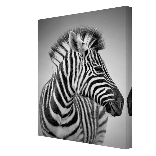 Modern art prints Zebra Baby Portrait II