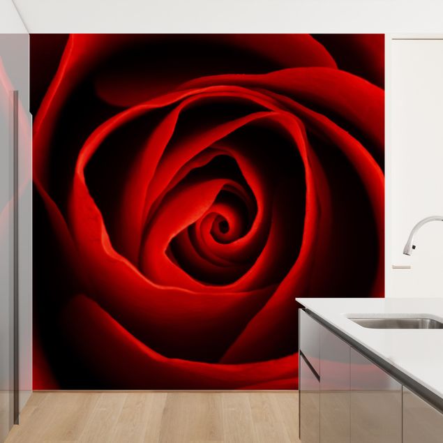 Floral wallpaper Lovely Rose