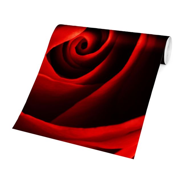 Red aesthetic wallpaper Lovely Rose