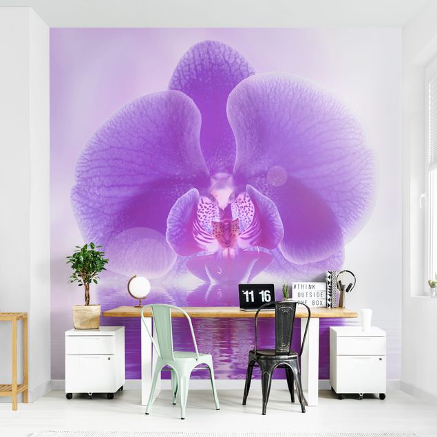 Wallpapers modern Purple Orchid On Water