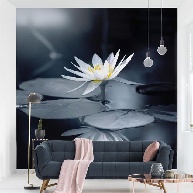 Wallpapers flower Lotus Reflection In The Water