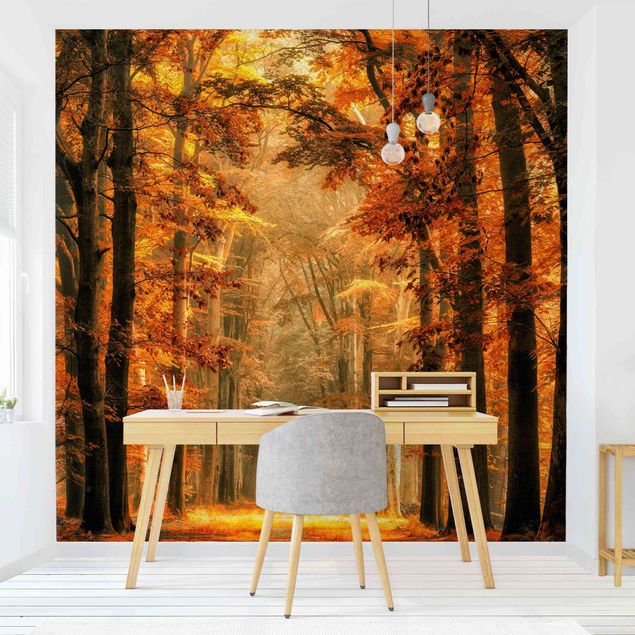 Contemporary wallpaper Enchanted Forest In Autumn