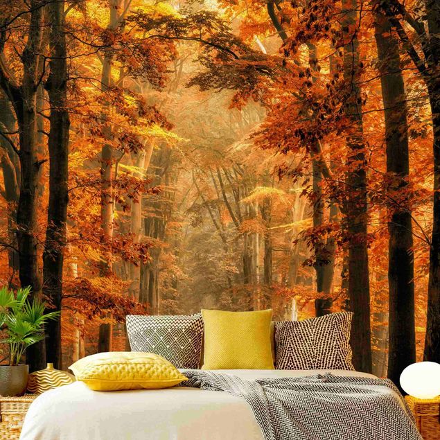 Wallpapers landscape Enchanted Forest In Autumn
