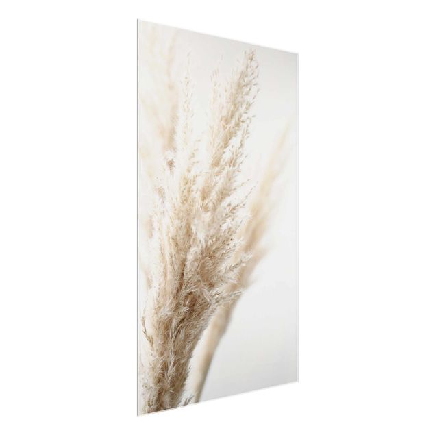 Floral picture Macro Image Pampas Grass
