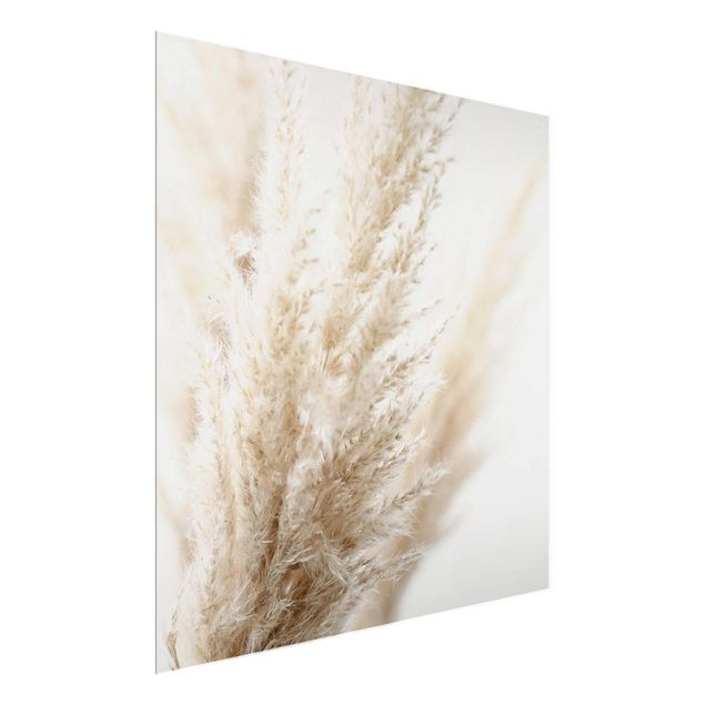 Floral picture Macro Image Pampas Grass