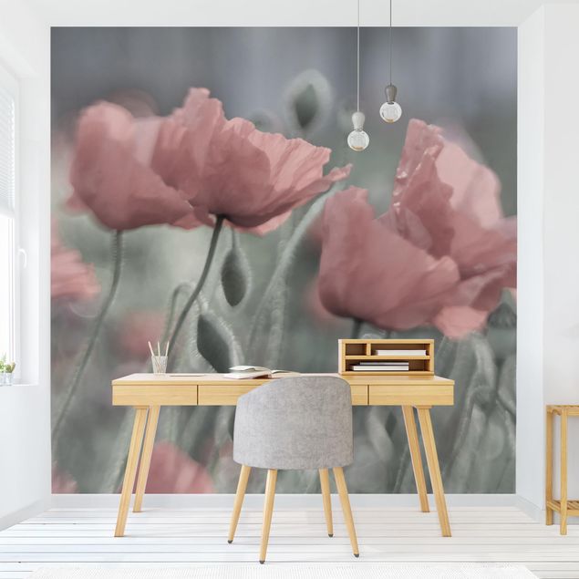 Modern wallpaper designs Picturesque Poppy