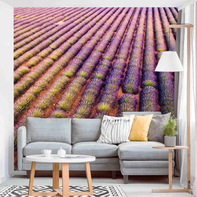 Kitchen Picturesque Lavender Field