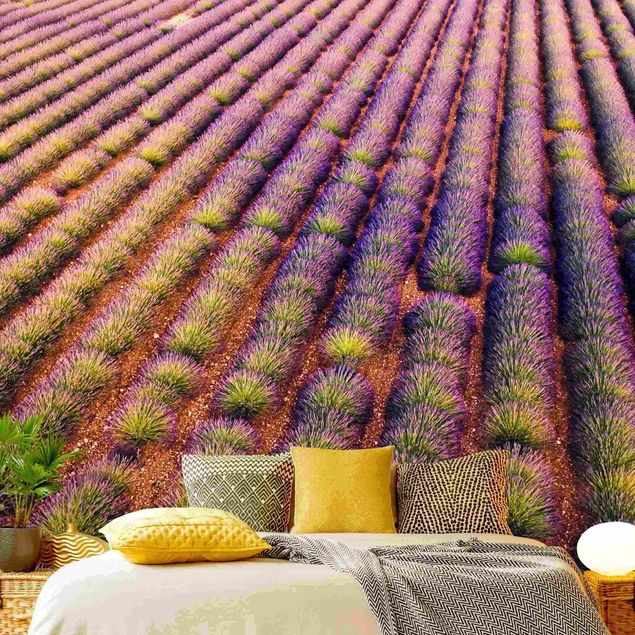 Contemporary wallpaper Picturesque Lavender Field