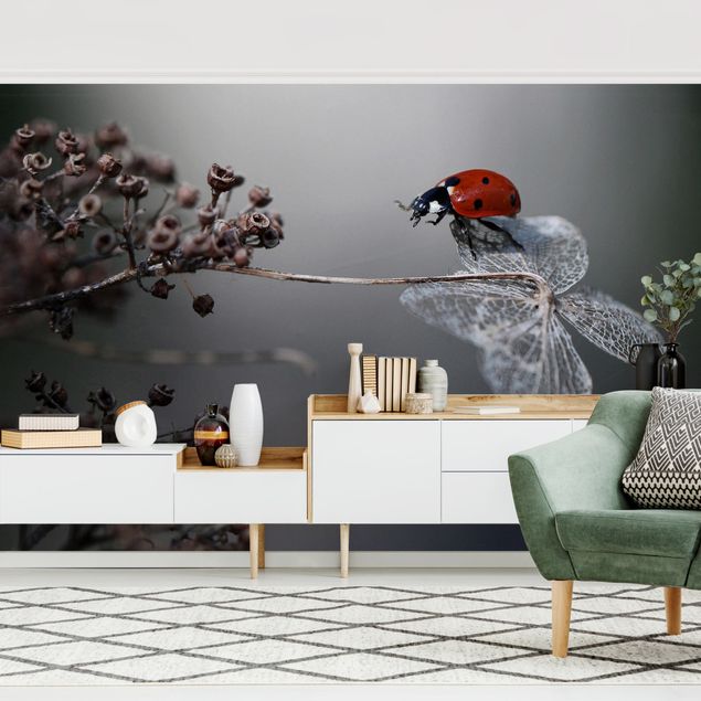 Wallpapers flower Ladybird On Hydrangea