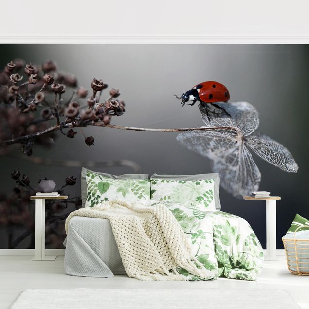 Wallpapers animals Ladybird On Hydrangea