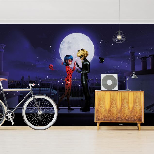 Wallpapers Paris Miraculous Ladybug And Cat Noir In The Moonlight