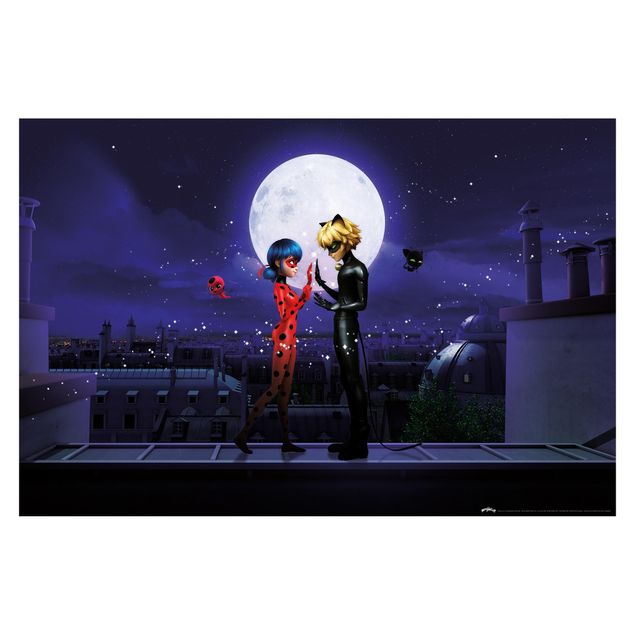 Peel and stick wallpaper Miraculous Ladybug And Cat Noir In The Moonlight