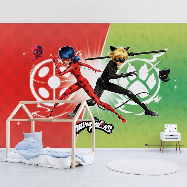 Wallpapers Paris Miraculous Ladybug and Cat Noir