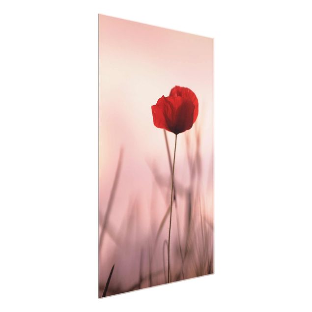 Glass prints flower Poppy Flower In Twilight