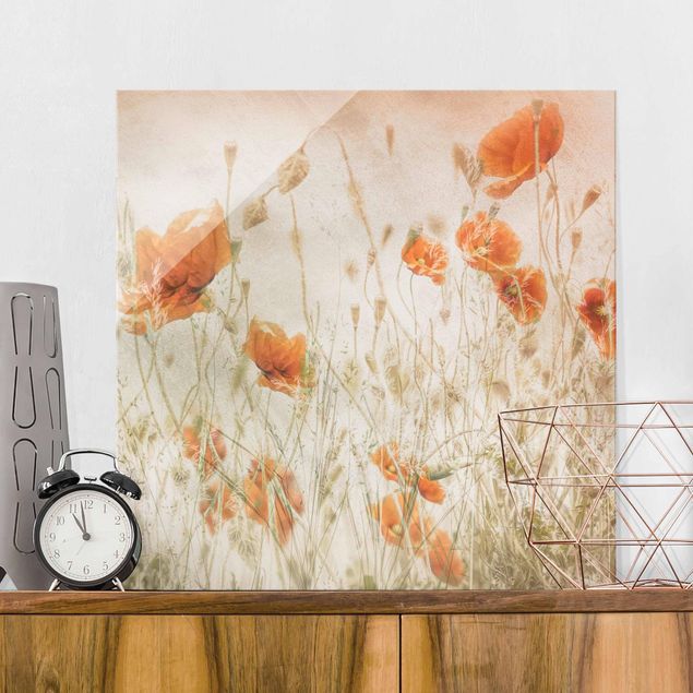 Glass prints poppy Poppy Flowers And Grasses In A Field