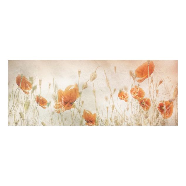 Flower print Poppy Flowers And Grasses In A Field