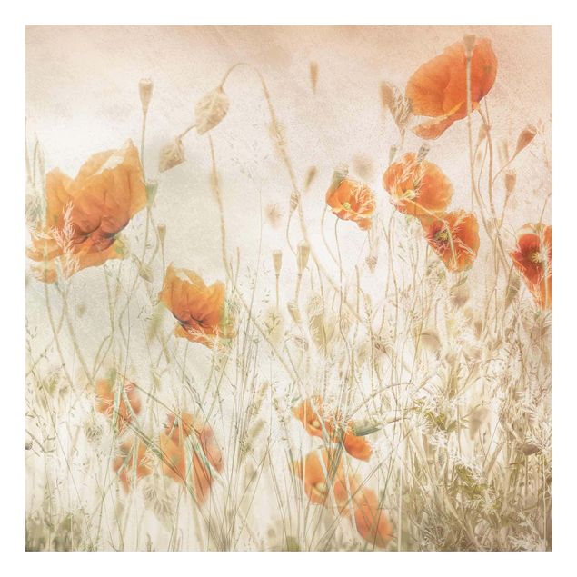 Flower print Poppy Flowers And Grasses In A Field