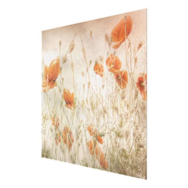 Prints flower Poppy Flowers And Grasses In A Field