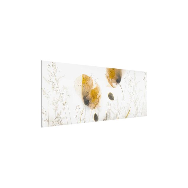 Glass prints flower Poppy Flowers And Delicate Grasses In Soft Fog