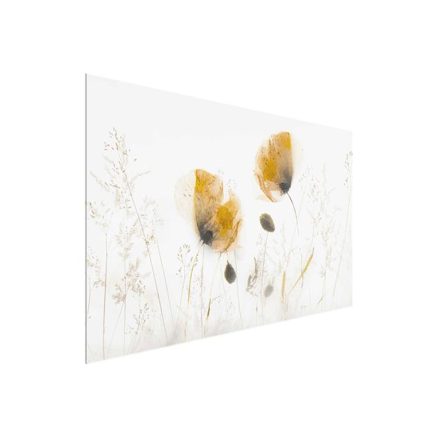Glass prints flower Poppy Flowers And Delicate Grasses In Soft Fog