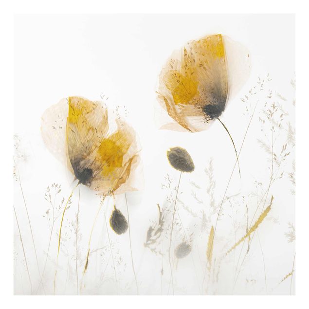 Floral canvas Poppy Flowers And Delicate Grasses In Soft Fog