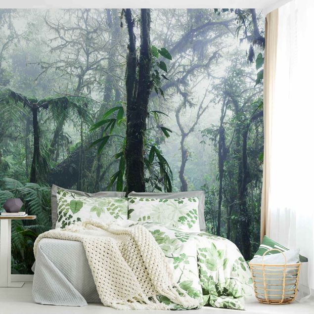 Contemporary wallpaper Monteverde Cloud Forest