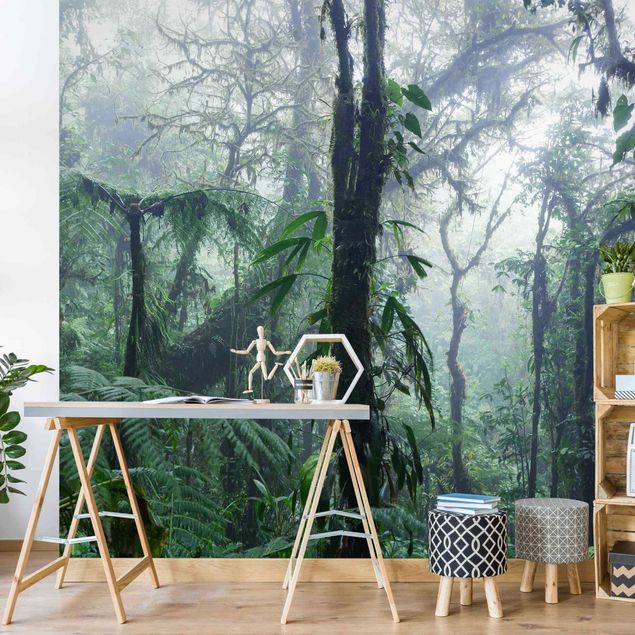 Rainforest wallpaper Monteverde Cloud Forest