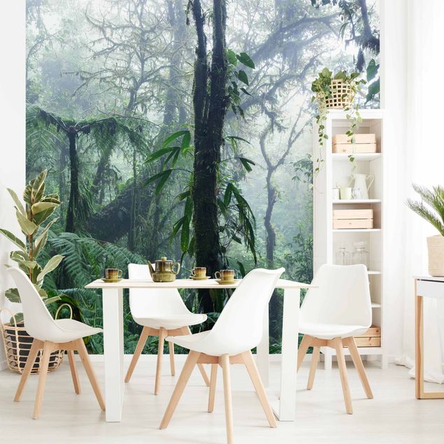 Wallpapers landscape Monteverde Cloud Forest
