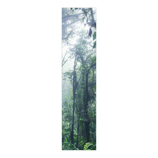 Matteo Colombo Monteverde Cloud Forest