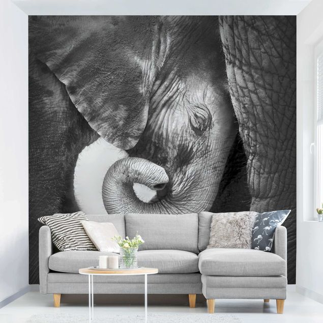 Wallpapers elefant Mother's Love