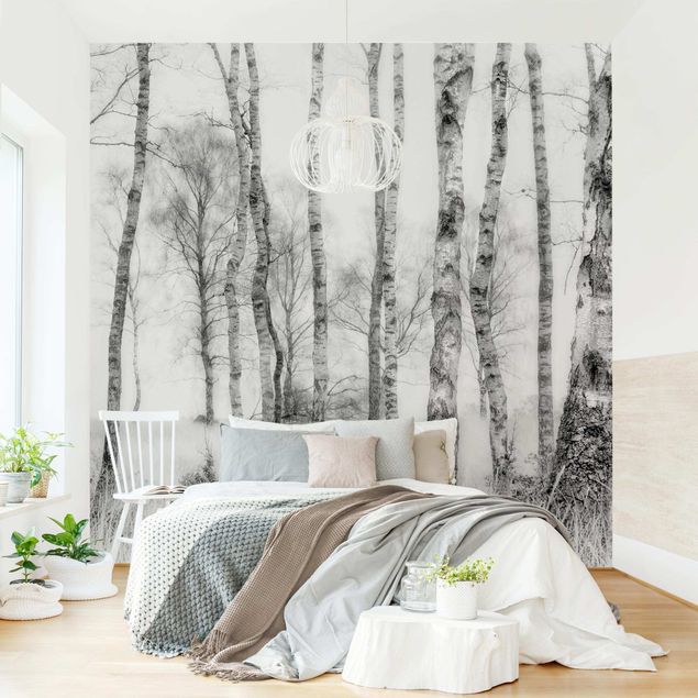 Black and white aesthetic wallpaper Mystic Birch Forest Black And White